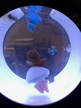 Load image into Gallery viewer, Blubber Jellyfish
