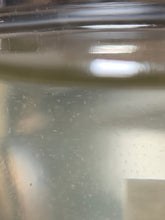 Load image into Gallery viewer, Live Rotifers