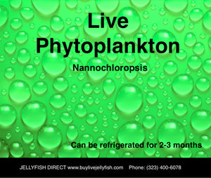 Live Phytoplankton