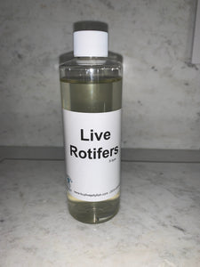 Live Rotifers